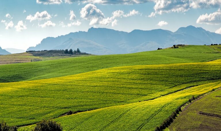 Terreno-agricolo-edificabile-768x455 Congedo parentale